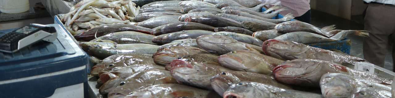 چه خبر از بازار ماهی؟